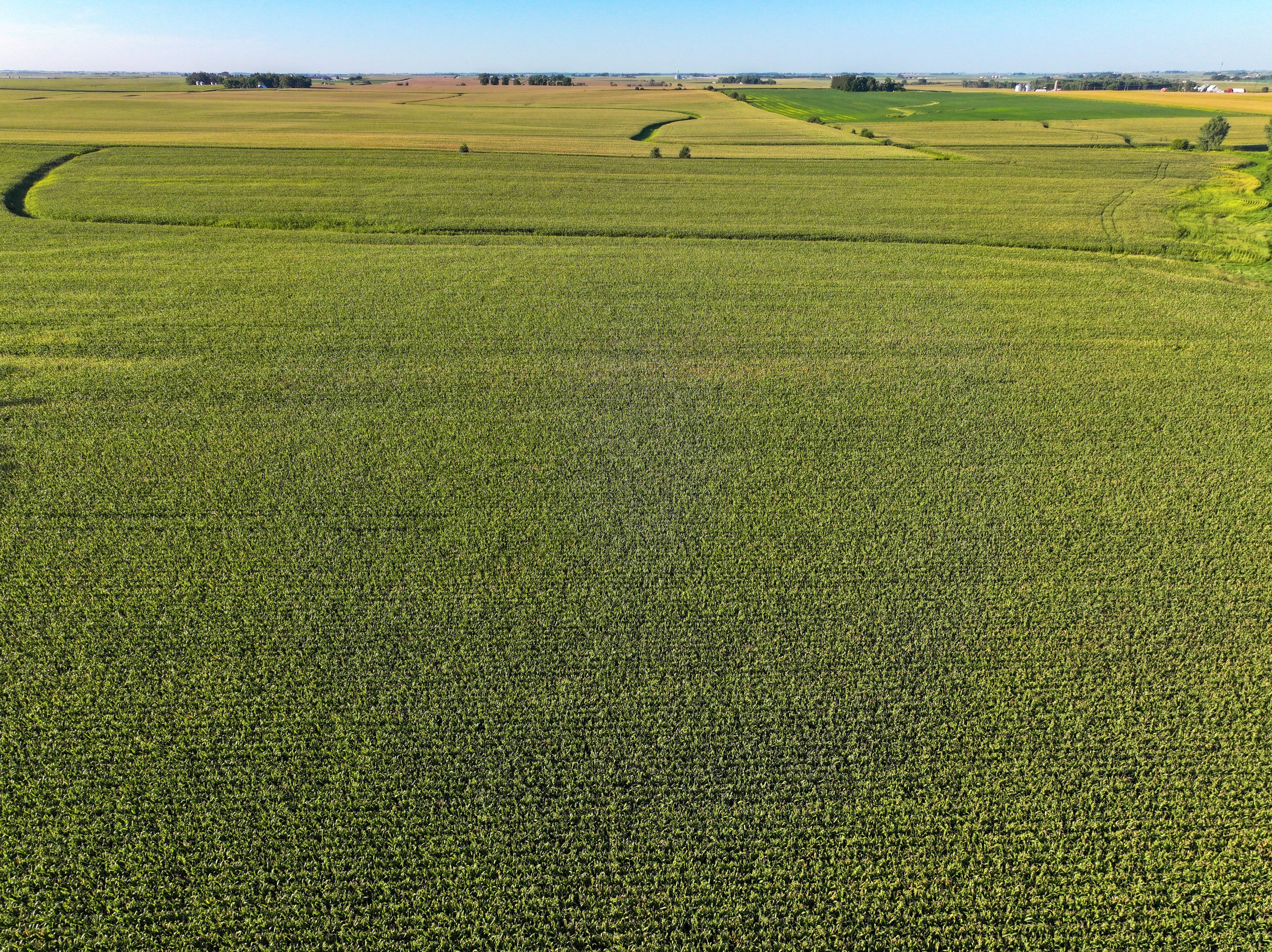 Listing Photo: 27-Notheast Iowa Land For Sale